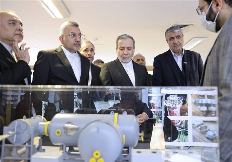 سید عباس عراقچی، صنعت هسته ای، سازمان انرژی اتمی ایران. 