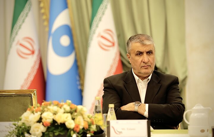 رویکرد سازمان انرژی اتمی بر این موضوع متمرکز است