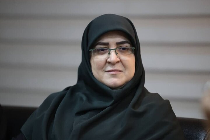 مهاجرانی: اعتبار جداگانه ای برای سفر مسئولان در نظر گرفته نشده است