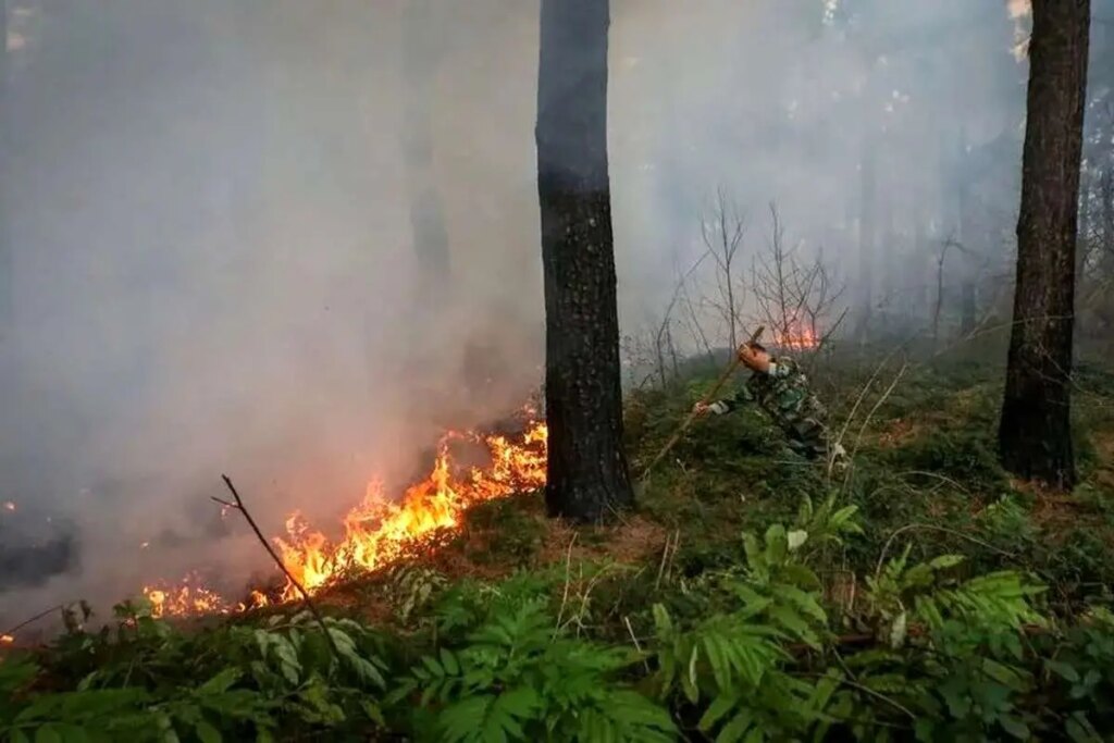 پایان آتش سوزی در جنگل های گلستان