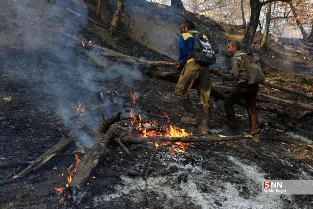 تصاویر; آتش سوزی در جنگل های گلستان
