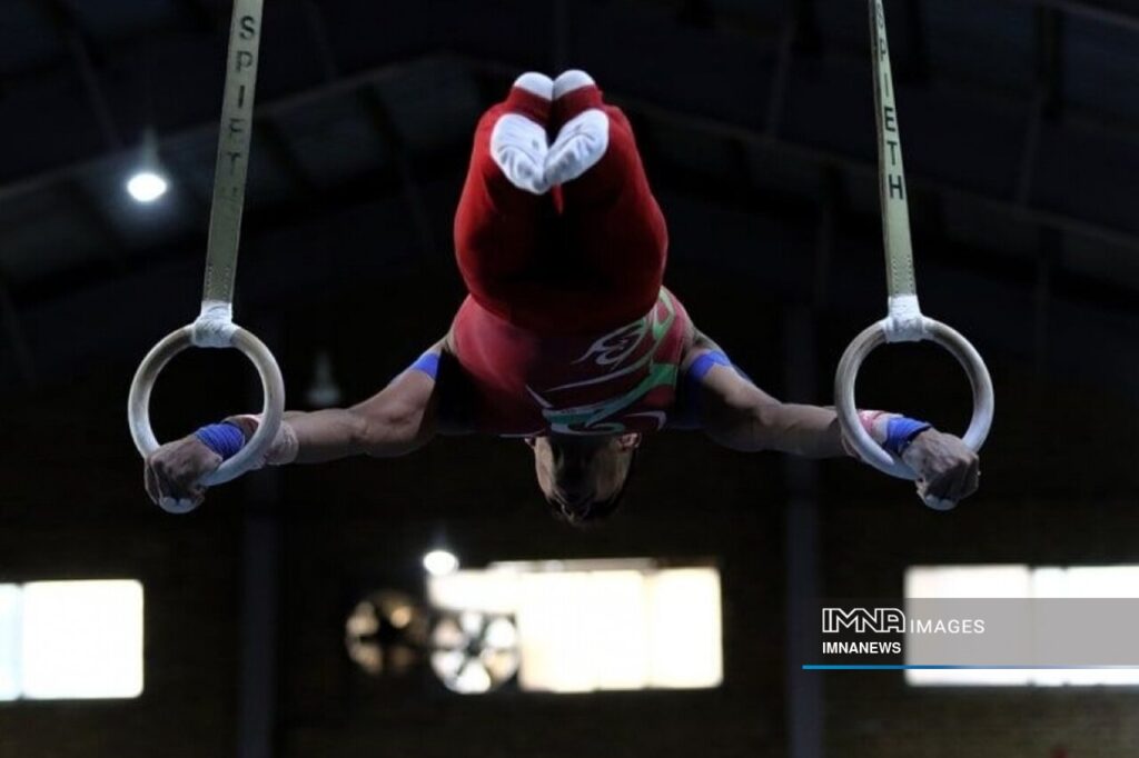 نقوی سرپرست فدراسیون ژیمناستیک شد