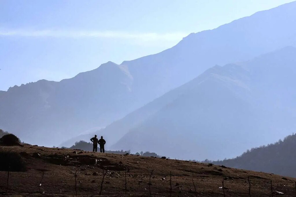 تصاویر; آرامش در نخبگان