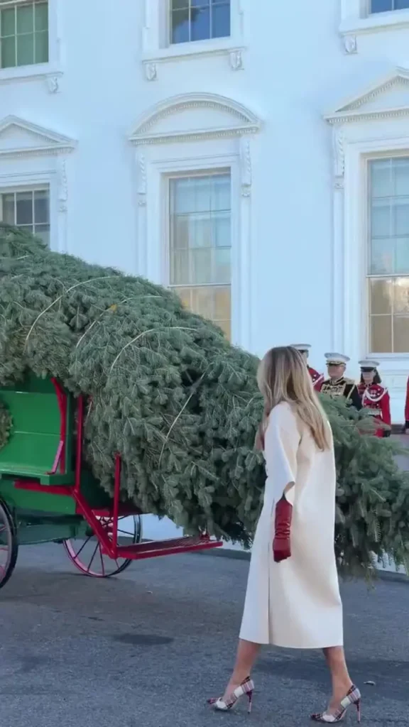 استقبال ملانیا ترامپ از درخت کریسمس در کاخ سفید