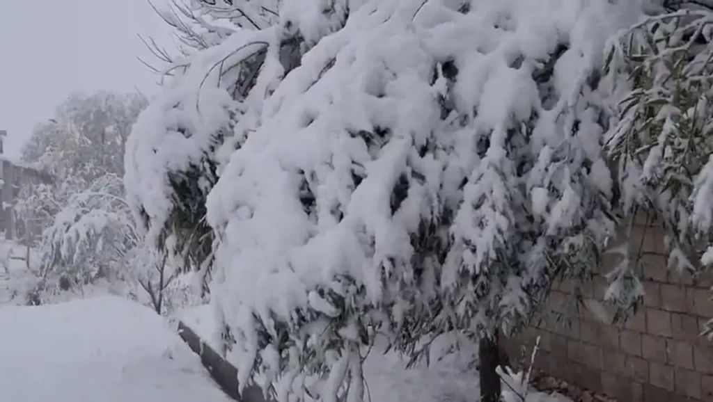 بارش برف در روستای مائین بلاغ شهرستان تکاب