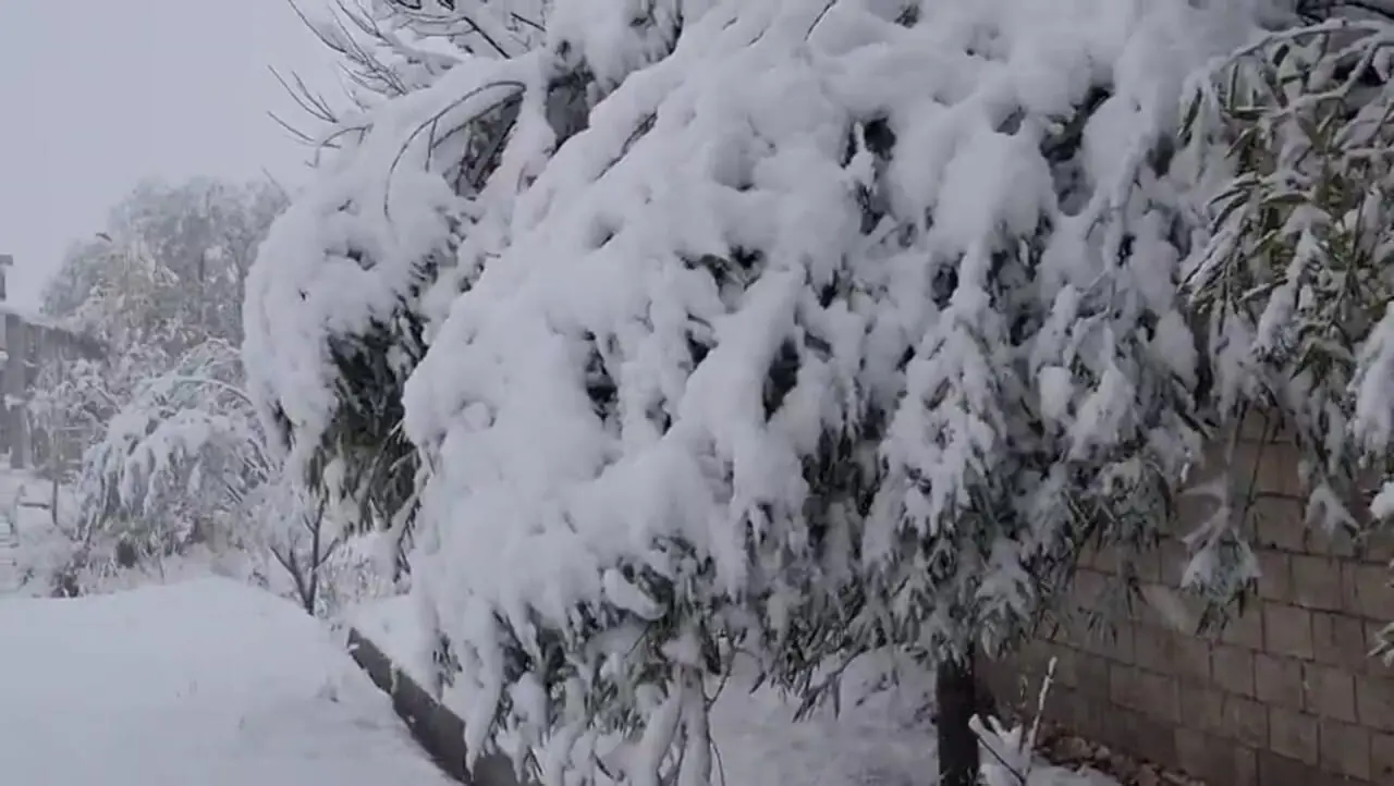 بارش برف در روستای مائین بلاغ شهرستان تکاب