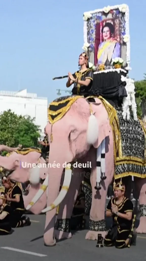 رژه فیل‌های صورتی در تایلند برای ادای احترام به ملکه مادر