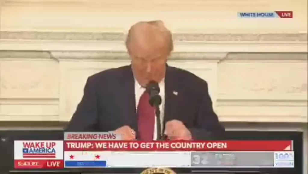 هیچگاه مردانی آنقدر ترسو ندیده بودم