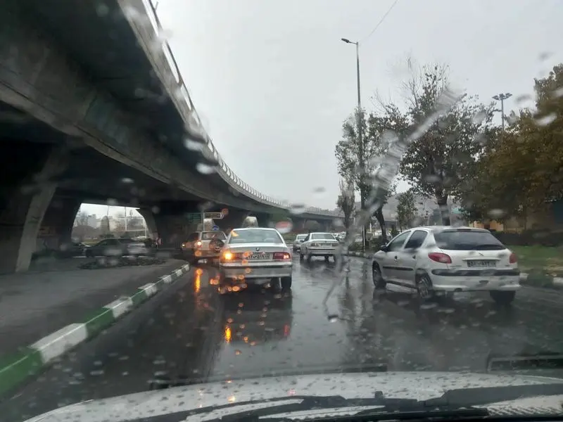 بارش باران در مشهد