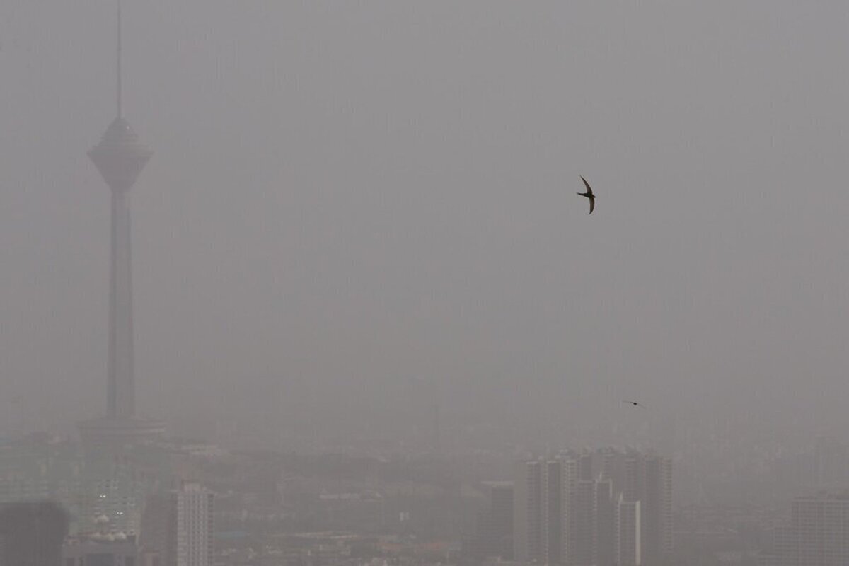 وضعیت شاخص آلودگی هوای تهران امروز شنبه ۱۷ شهریور/ هشدار به تهرانی ها