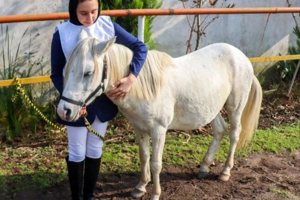 تصاویر; جشنواره زیبایی اسب کاسپین در انزلی