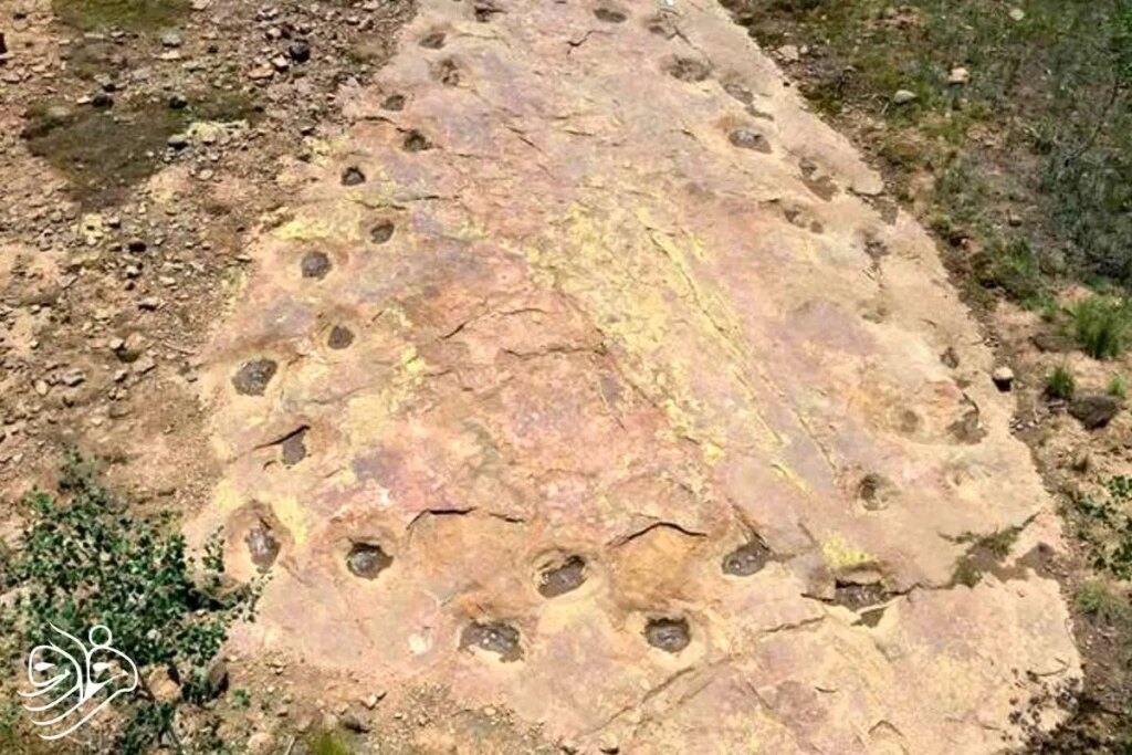 کشف دایناسور 150 میلیون ساله با پاهای لنگ!