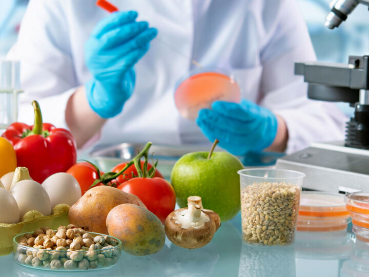 آینده صنایع غذایی ایران به پیوند دانشگاه و صنعت بستگی دارد