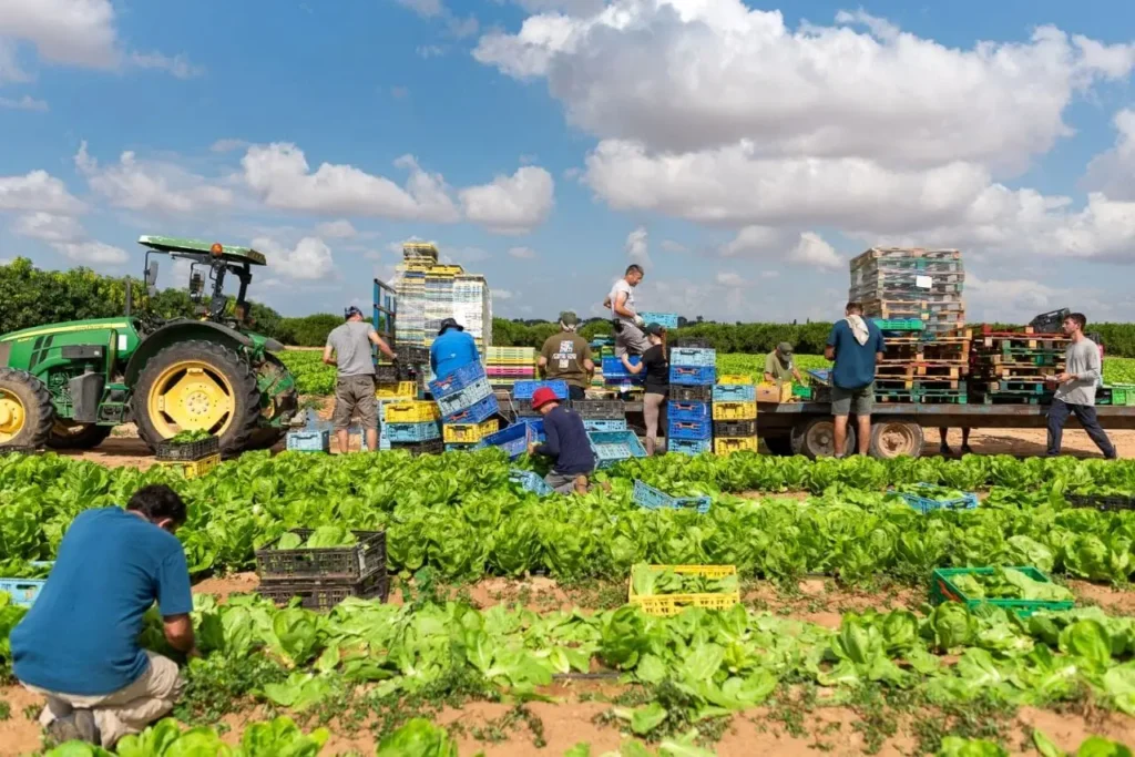 ایران برای فلج کردن کشاورزی اسرائیل به تایلند پیشنهادی مخفیانه داده بود