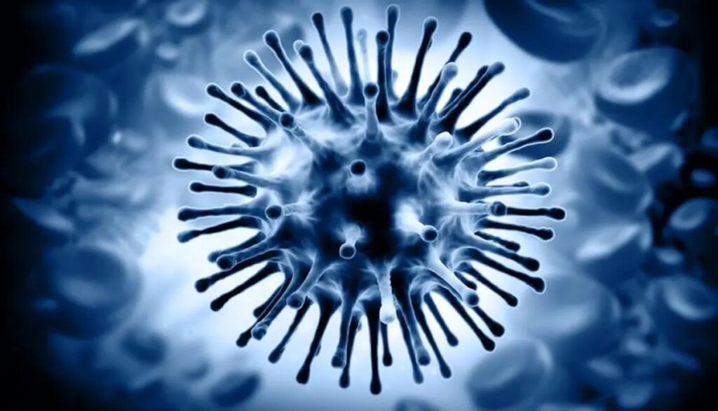 ثبت نخستین مرگ ناشی از آنفلوانزای H3N2 در هرمزگان