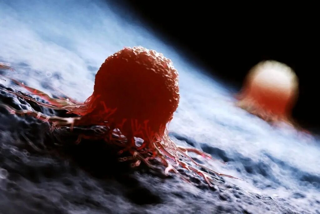 محققان علت اصلی مقاومت سلول‌های سرطانی به شیمی‌درمانی را کشف کردند