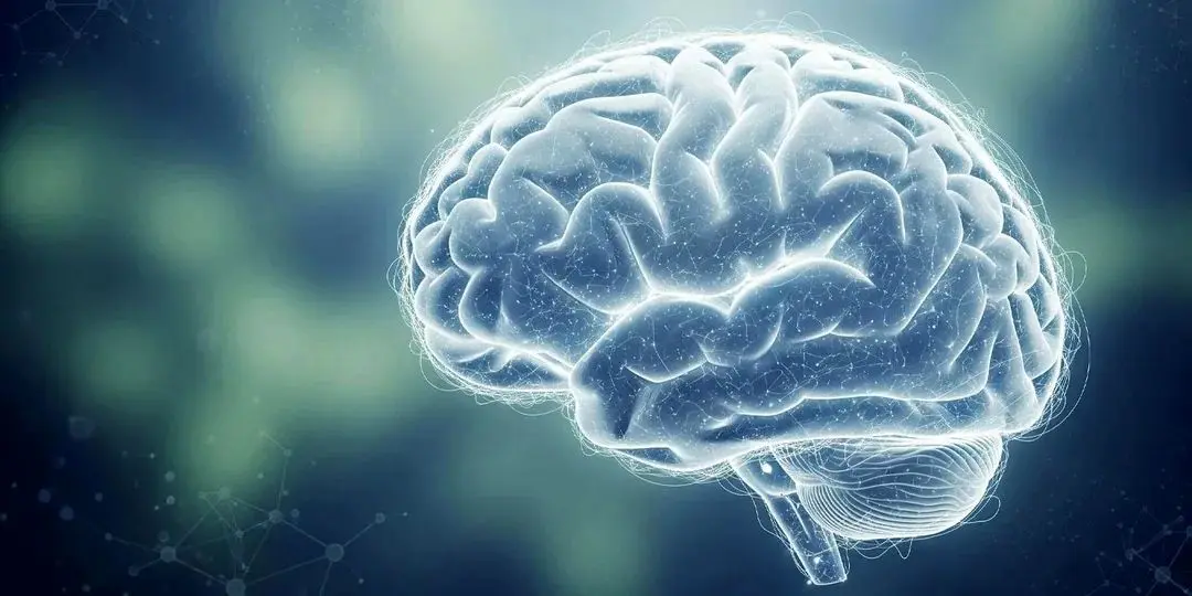 کشف غیرمنتظره ارتباط میان جذابیت بصری و سوخت مغزی