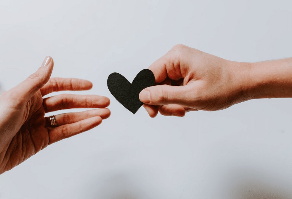 از رویا تا واقعیت؛ هنر انتخاب شریک مناسب