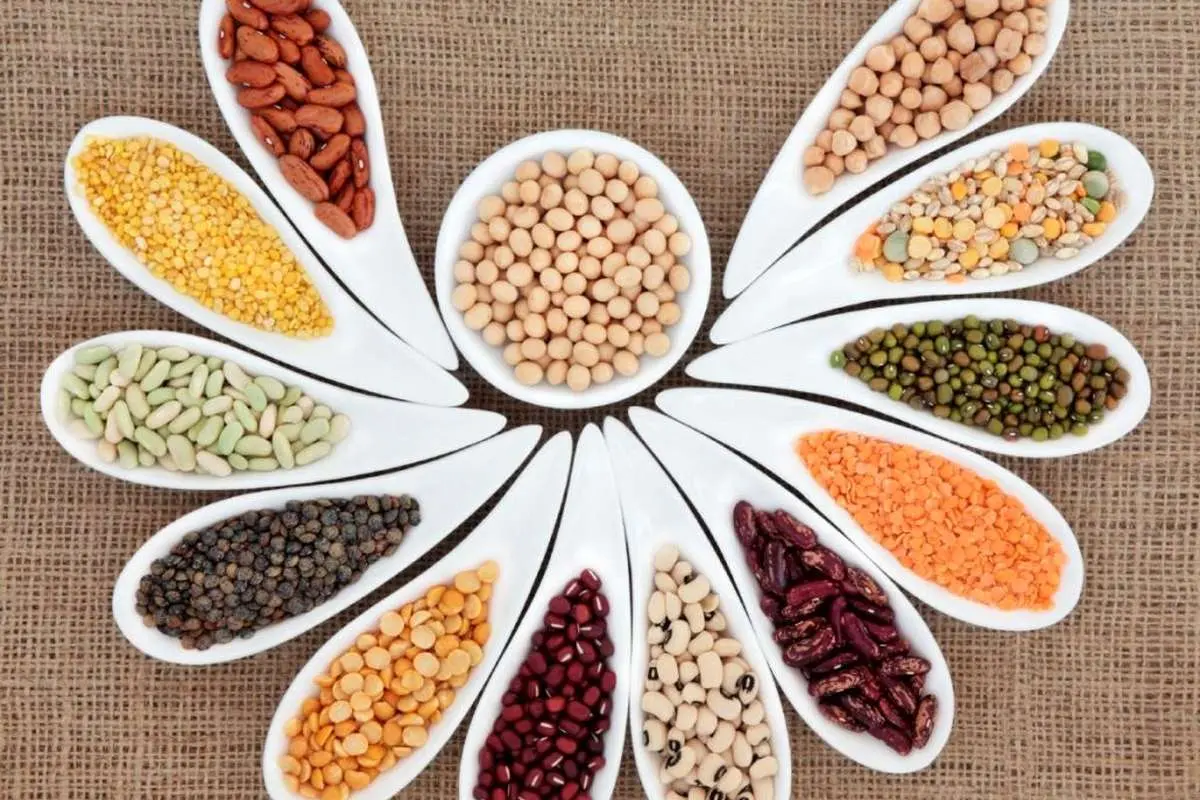 تغییر عجیب قیمت حبوبات در آذر 1404/ قیمت حبوبات به مرز 600 هزار تومان رسید.