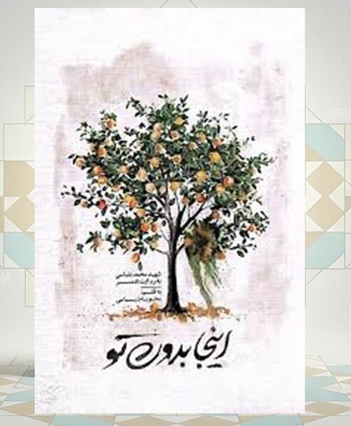 از مسیر موفقیت پزشکی در ایران تا راه اندازی سامانه هوشمند دوچرخه سواری در 30 دانشگاه