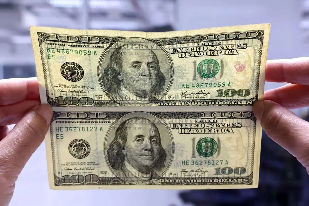     قیمت دلار امروز سه شنبه 14 بهمن 1404 