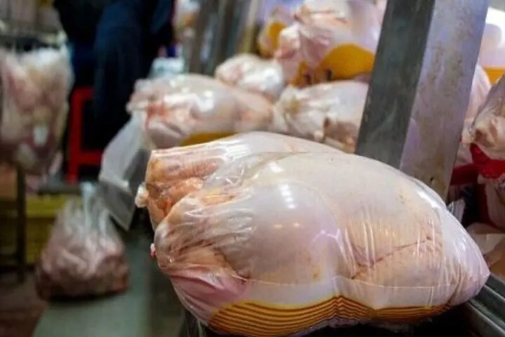 ارسال بیش از ۲ میلیون کیلو مرغ از مازندران به تهران