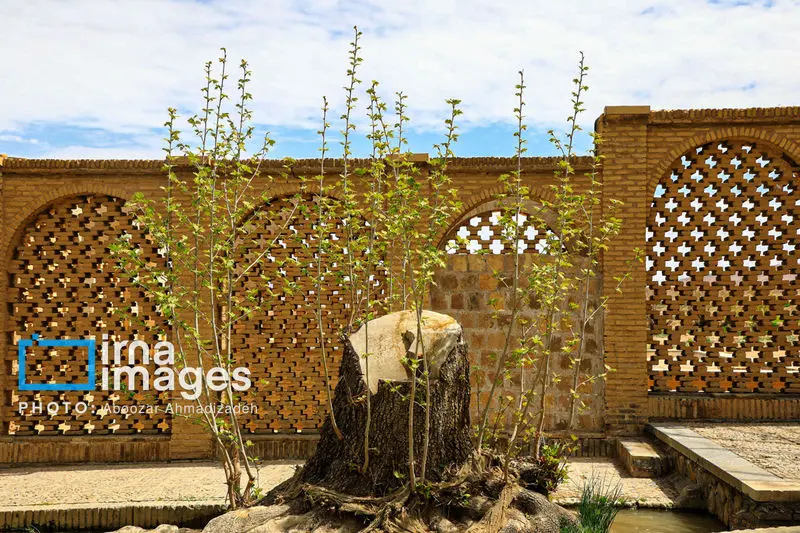 باغ شاهزاده ماهان 17