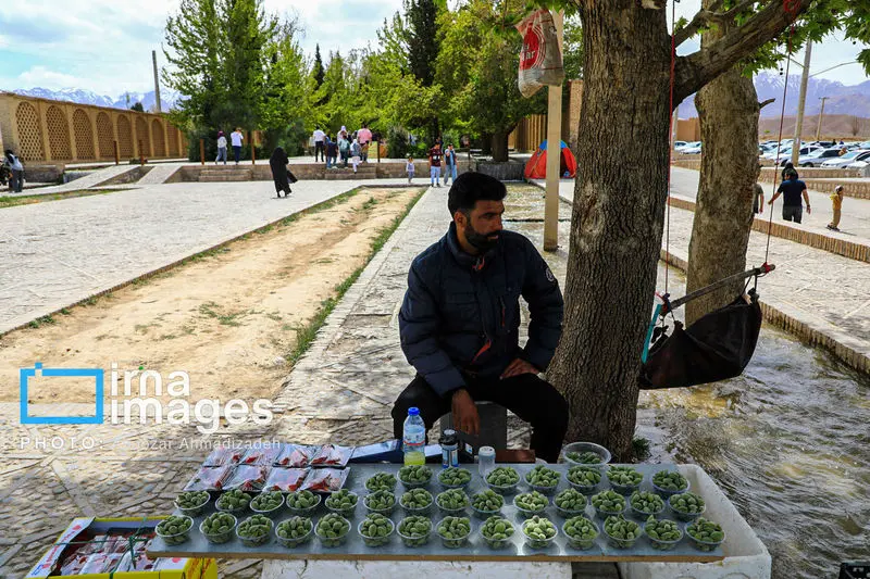 باغ شاهزاده ماهان 12