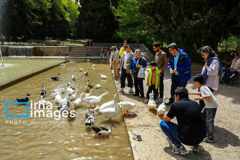 باغ شاهزاده ماهان 9