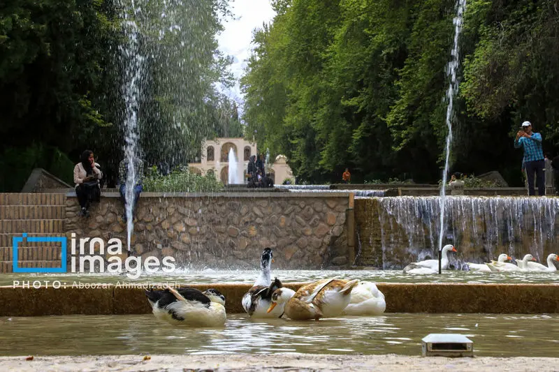 باغ شاهزاده ماهان 5