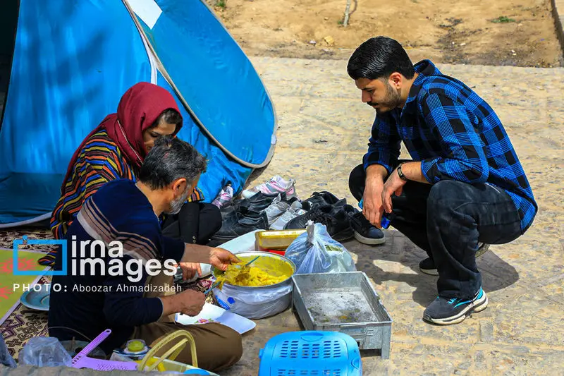 باغ شاهزاده ماهان 4