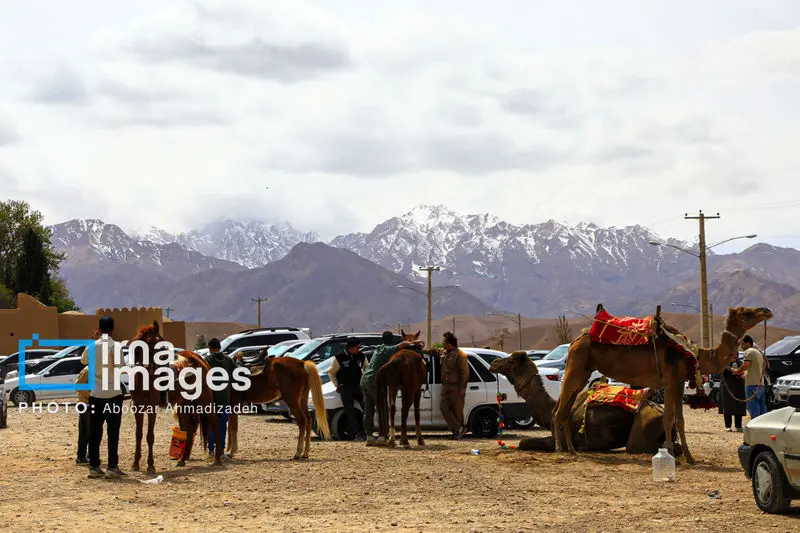 باغ شاهزاده ماهان 2