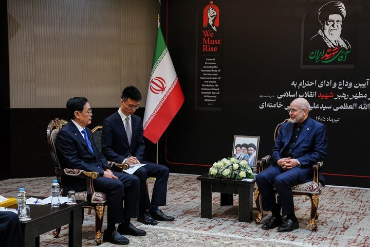 رئیس مجلس شورای اسلامی با هیئت عالی رتبه کنگره خلق چین دیدار کرد
