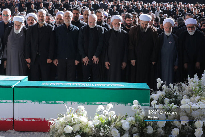 حضور پزشکان در مراسم استقبال از پیکر شهدا در عراق