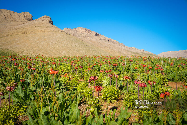 ۱۱ اثر طبیعی اصفهان در راه ثبت ملی